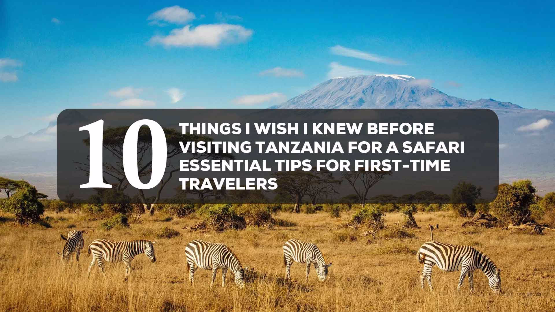 10 things i wish i knew before visiting tanzania for a safari essential tips for first time travelers