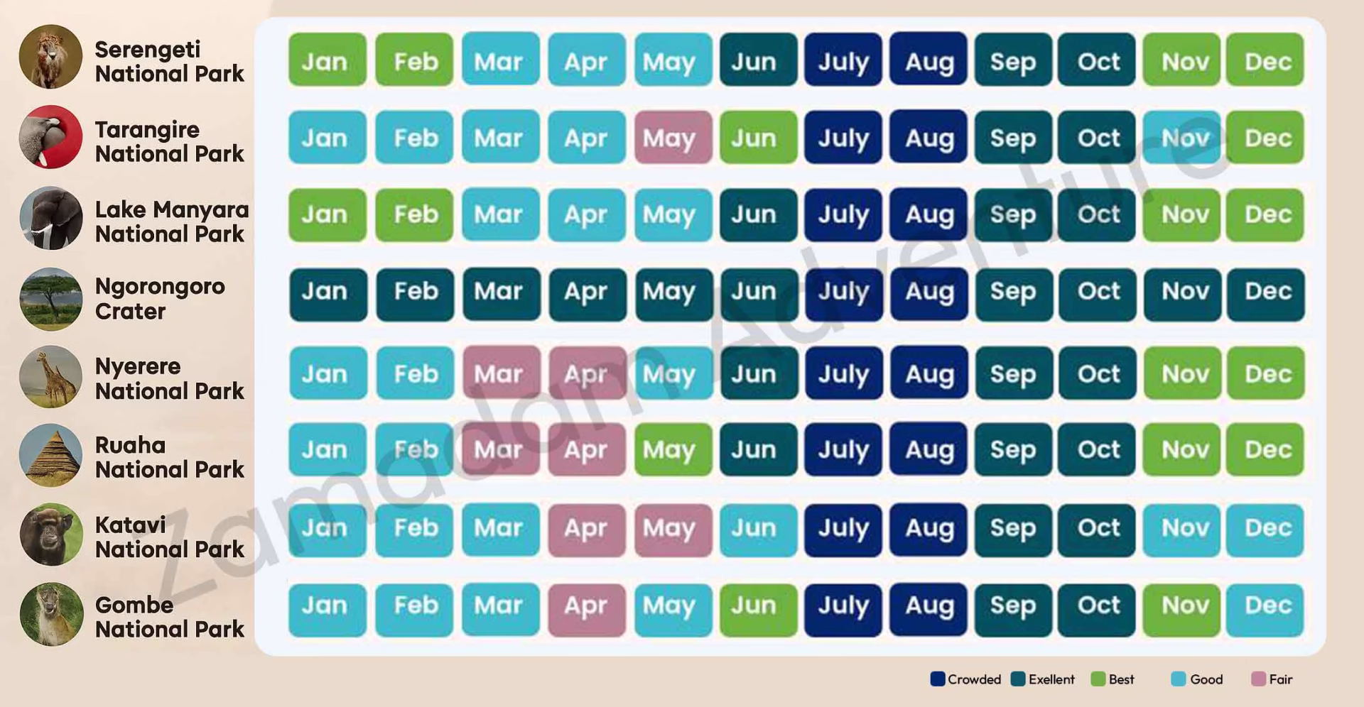 best time to go on safari in tanzania