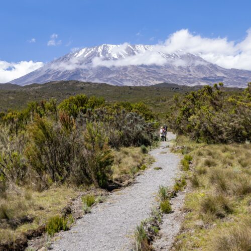 Kilimanjaro trek Tanzania Machame route