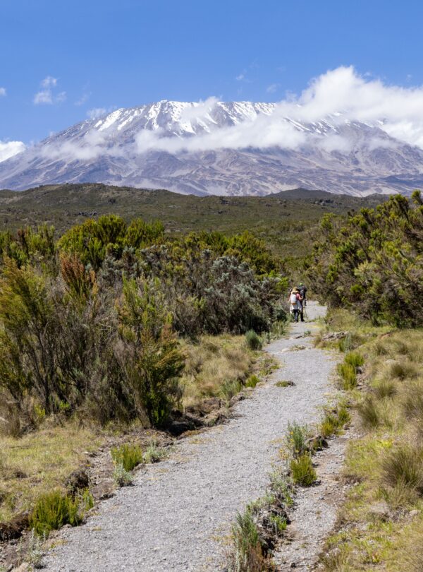 Kilimanjaro trek Tanzania Machame route