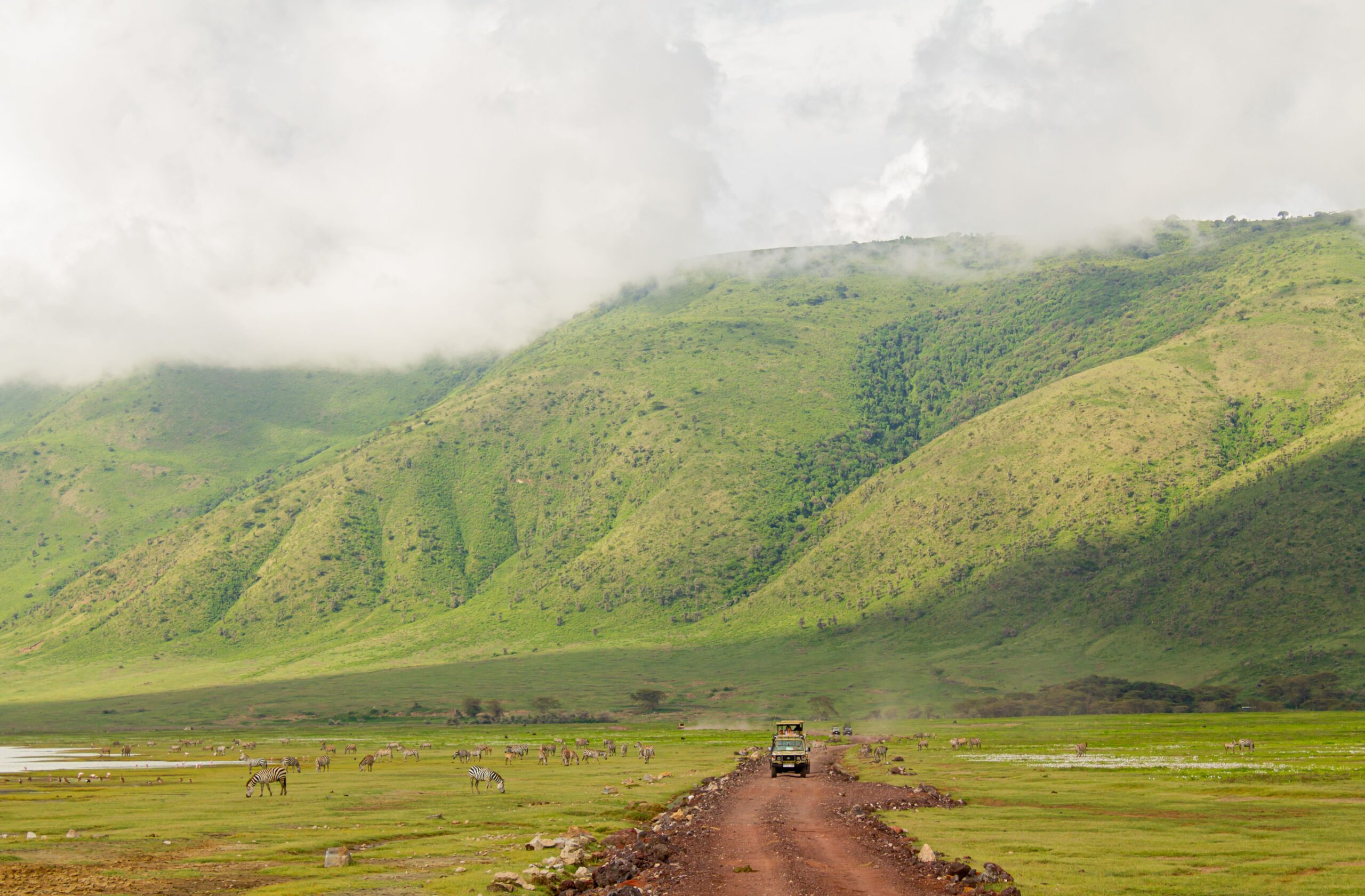7-Day Northern Circuit Safari: What to Expect in Tanzania