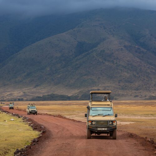 7-Day Northern Circuit Safari | Serengeti, Ngorongoro & Tarangire