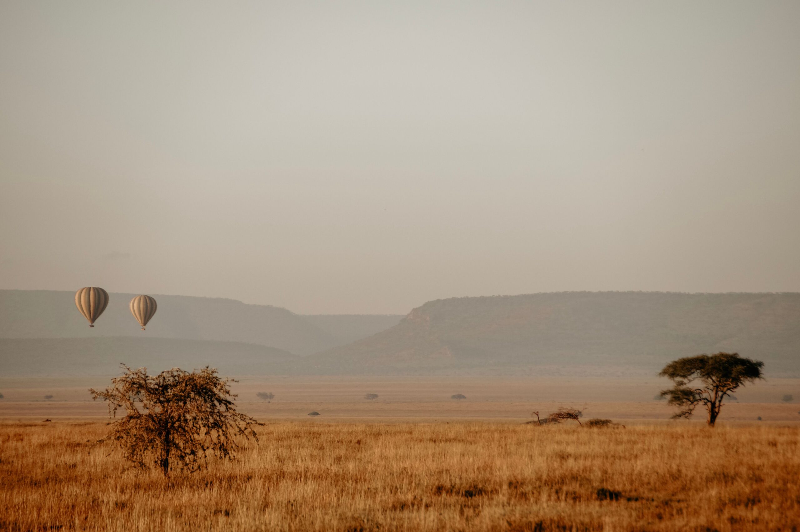 Best Time to Visit (Serengeti Sunrise Balloons)