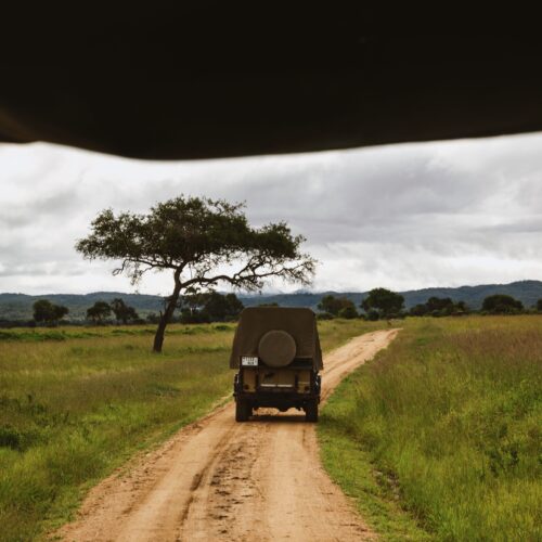 9-Day Wilderness Safari | Southern Tanzania Remote Bush