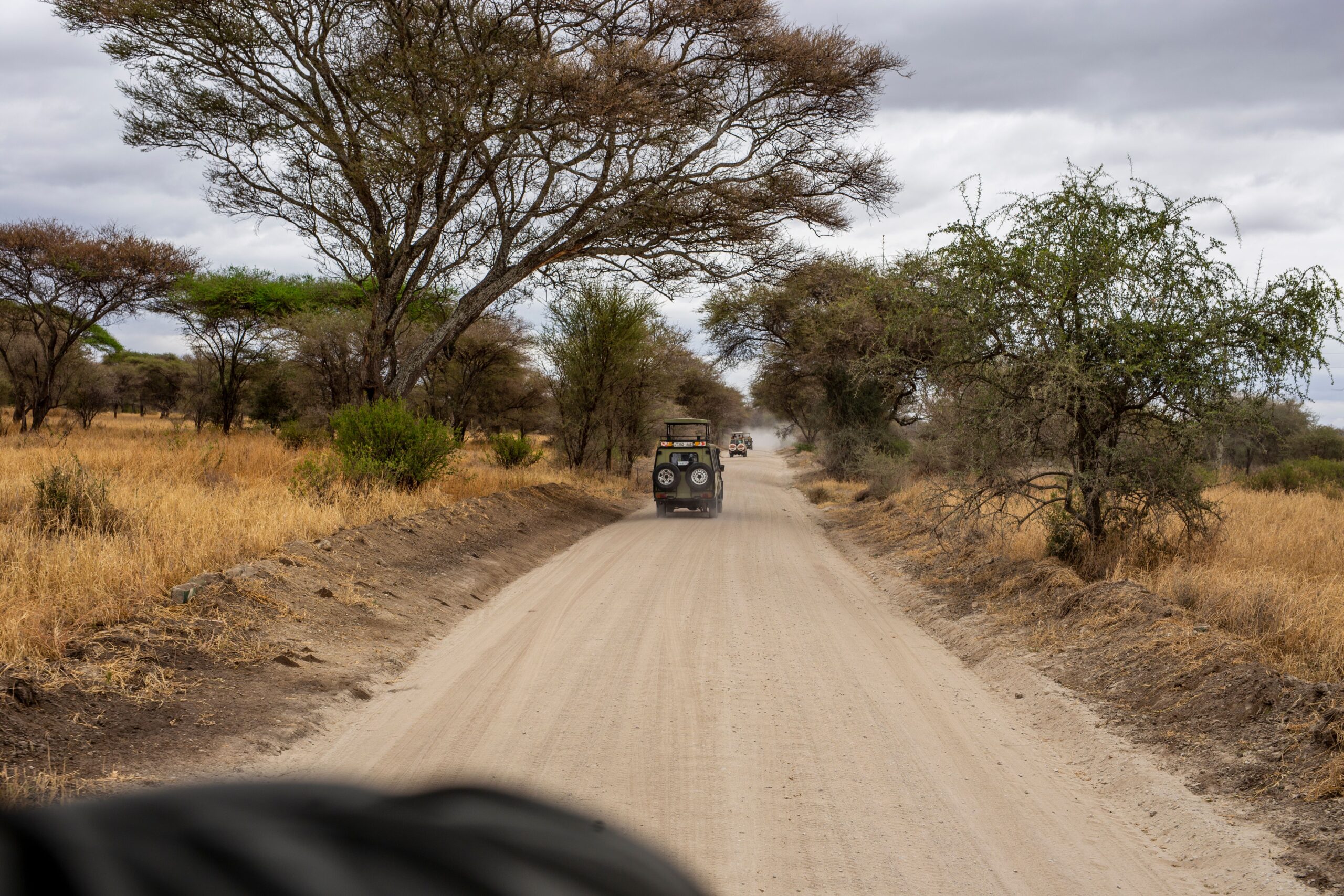 Tanzania Safari Packing List: What to Bring (and What to Leave Home)